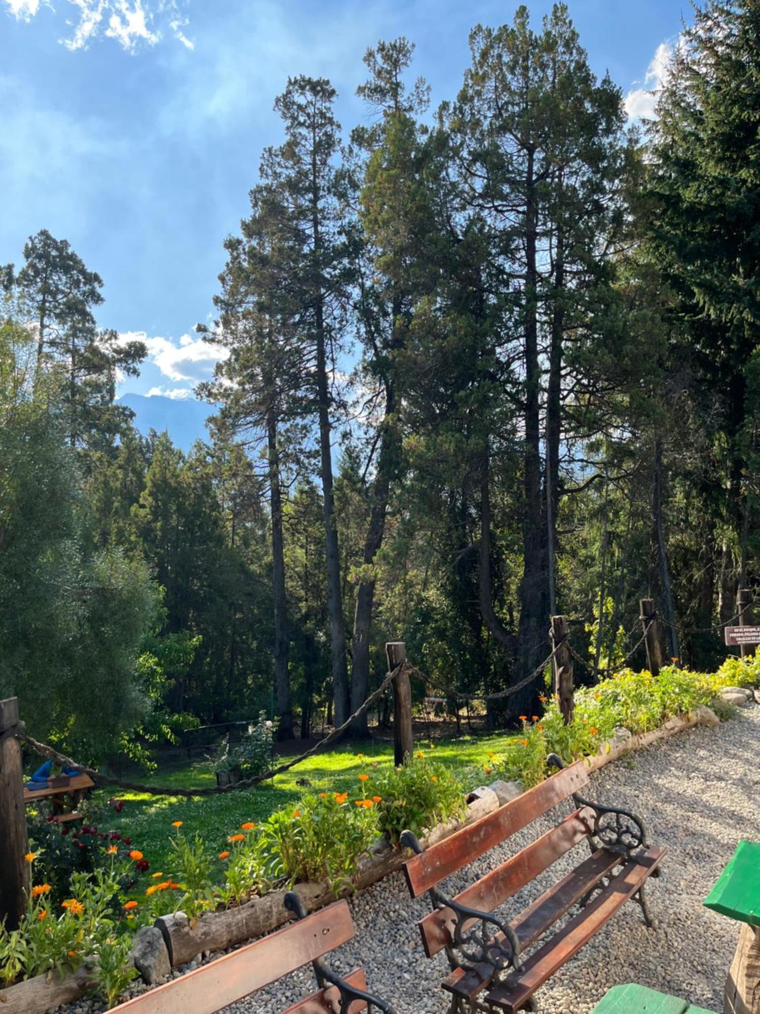 Hostel El Mirador Эль-Больсон Экстерьер фото